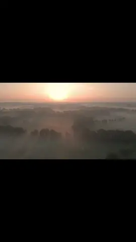 Life as a man is war.  #fyp #fypシ #foryoupage #real #motivation 