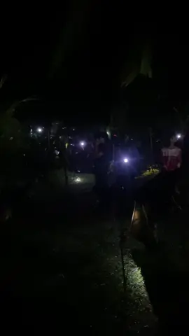 บรรยากาศ แข่งตั๊กแตน ของเมือคืน ณ บ้านจ่ากอง#แข่งตั๊กแตน3จังหวัด #แข่งตั๊กแตนเป็นเหตุ 