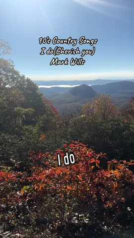 #90scountrymusic #markwills #songlyrics #90scountry #countrymusic 