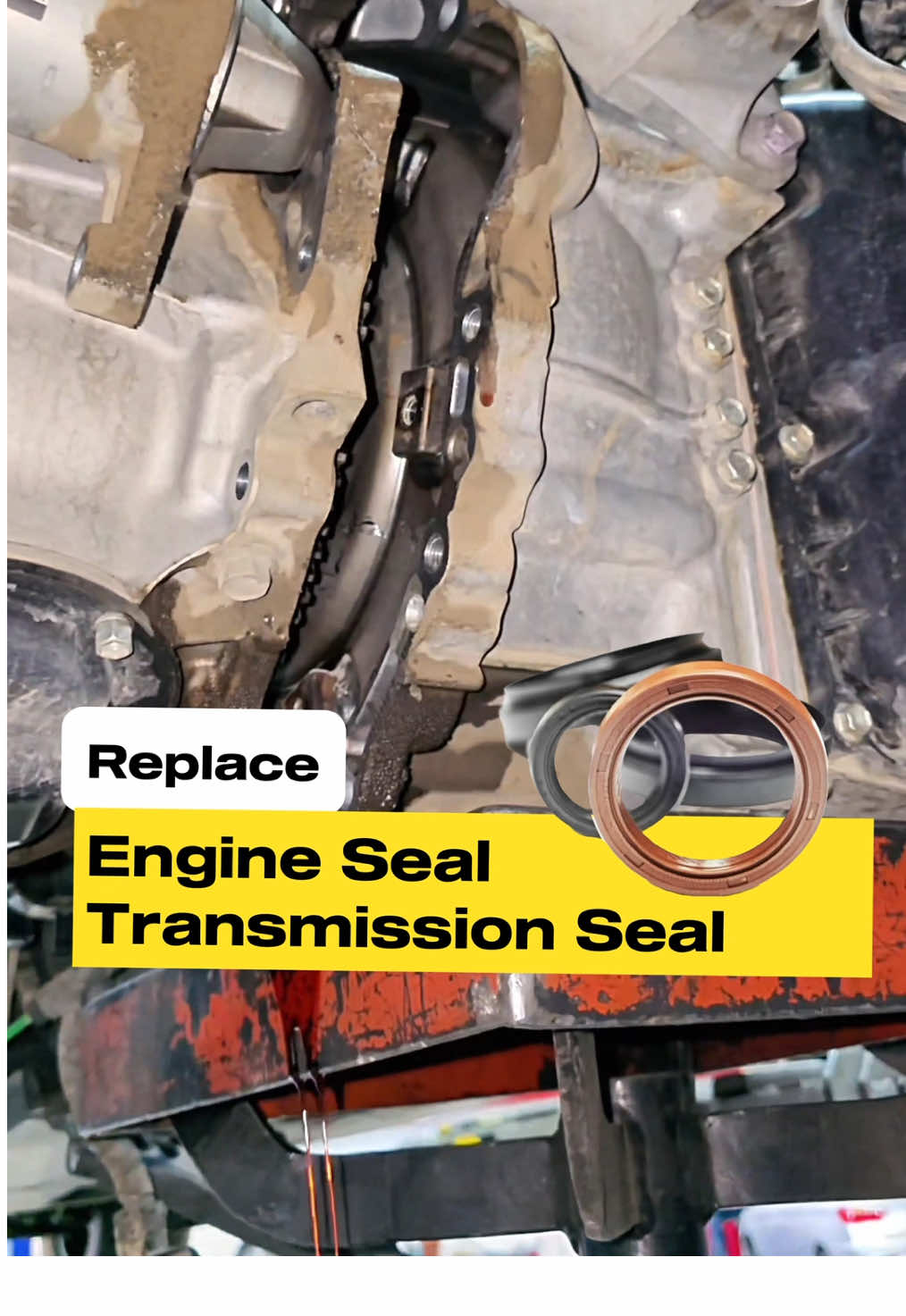 Leaking Seal Replacement, Engine Seal , Transmission Seal #seal #leaks #endjdiy #carfix #oilleak 