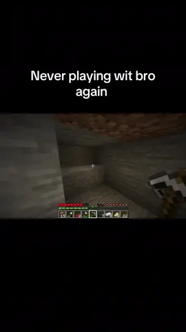 Took me a lil bit to process that Mod name:I forgot #Minecraft #mc #minecraftmod 