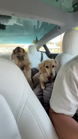 #onthisday quality vlog ngl