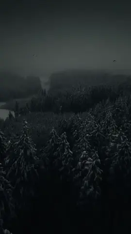 #vibesnaturals #calm #relax #vibes #aesthetic 