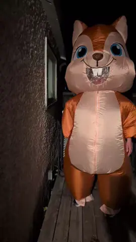 had to join the squirrels #wood #taylorswift #taylornation #nutella 