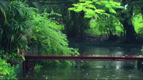 #xuhuong #motchutbinhyen #rednote #fyp #chualanh 