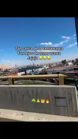 #👑🙏☘️♥️ 