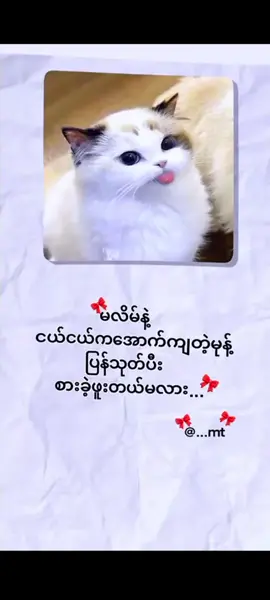 #😊☺ မလိမ်နဲ့  ငယ်ငယ်ကအောက်ကျတဲ့မုန့် ပြန်သုတ်ပီး       😁စားခဲ့ဖူးတယ်မလား....💫