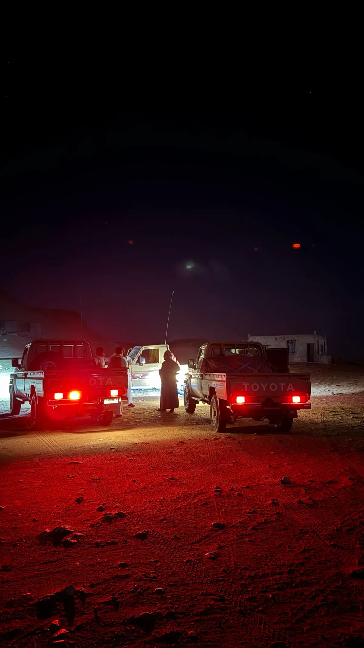 #الصيعر_ذياب_الصحراء #yfp #viral #alsar #الخوي 