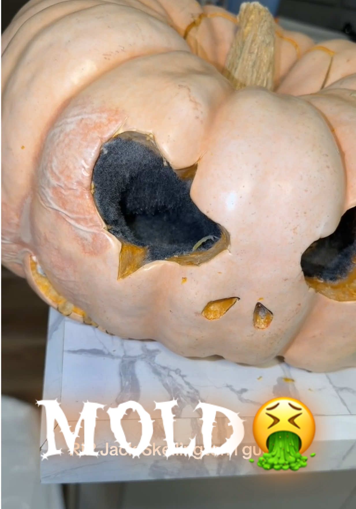 NASTY, it left a pool of liquid on my kitchen counter 🤢 #carvingpumpkin #rottentothecore #jackskellington #halloween #fyp 