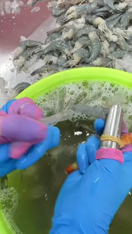 #xuhuongtiktok #thinhhanhtiktok #congvieccuatoi #congnhan #94baclieu 