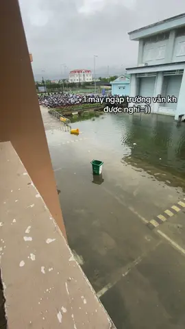 ngập đã luon #xuhuong #viral #quangngai 