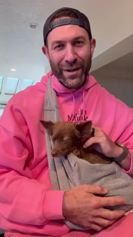 This is a bit of a rant after seeing some of the comments on the video of me feeding my dogs yesterday. The message is for everyone but I think the people who actually need to hear this will stop listening after a minute. But it’s worth a shot, and honestly, it feels good to get it off my chest. And in case anyone’s wondering or thinks they can make a bigger impact than Hill’s ,let’s talk facts.  (Not a sponsored post) Through their Food, Shelter & Love® program, Hill’s Pet Nutrition has donated over $300 million in science-led nutrition and more than 4.4 million pounds of pet food to shelters across North America. That support has helped over 15 million dogs and cats get healthy, fed, and adopted into loving homes. 🐾 From disaster relief to adoption drives, Hill’s shows up when it counts. So before you judge a company that’s feeding millions of rescue animals, maybe take a second to look at the lives they’ve saved and add in some self reflection too 💛