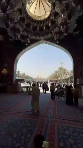 #موكب_بني_عامر#يا_حسين#موكب_بني_عامر