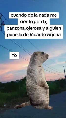 #Meme #MemeCut #CapCut #jajaja 