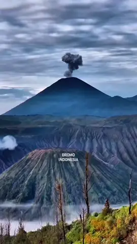 indahnya Indonesia ku 🇮🇩 #gunungbromo #indonesia #fyp 