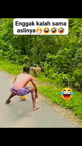 #kodokVSketek #vidiolucu #lucu  #funnyvideo 