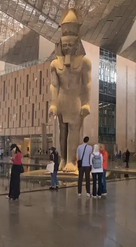 فرحة 1 نوفمبر 