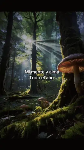 Hija del bosque 🌳  . . . #berghain #greenwitch #magiaverde #bosque #fairy 