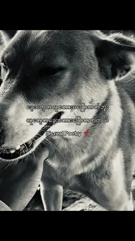 ဘေးပတ်ဝန်းကျင်ကလူတွေ ⚠️❗️#fyp #foryou #cyber_2009 #tiktok 