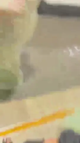 #هزاره_ازبک_تاجک_پشتون_ترکمن_🇦🇫ماشالله 🧿🧿🥰🥰🌶️🌶️🕋🤲