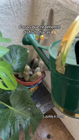 #🪴 Thankyou #jesus #christiantiktok 