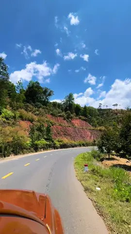 Rèn tay lái cho học viên học lái xe trên những cung đường đẹp nhất Lâm Đồng 🥰 --------------------------------------------- 👉 Liên hệ học lái xe cùng thầy Tân ☎ Hotline: 0355830406 - 0354455788 📩📩📩 thaytandaylaixedl@gmail.com #vinfast #CapCut #dalat #oto #hoclaixe 