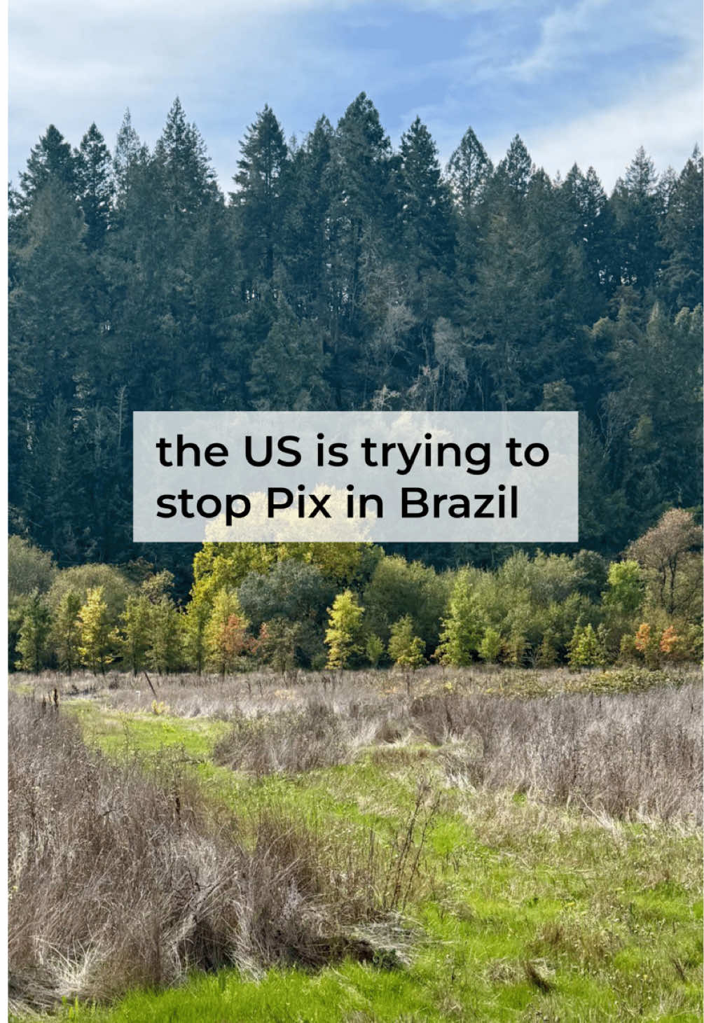 Brazilians 🇧🇷 do you like pix? it sounds really great.