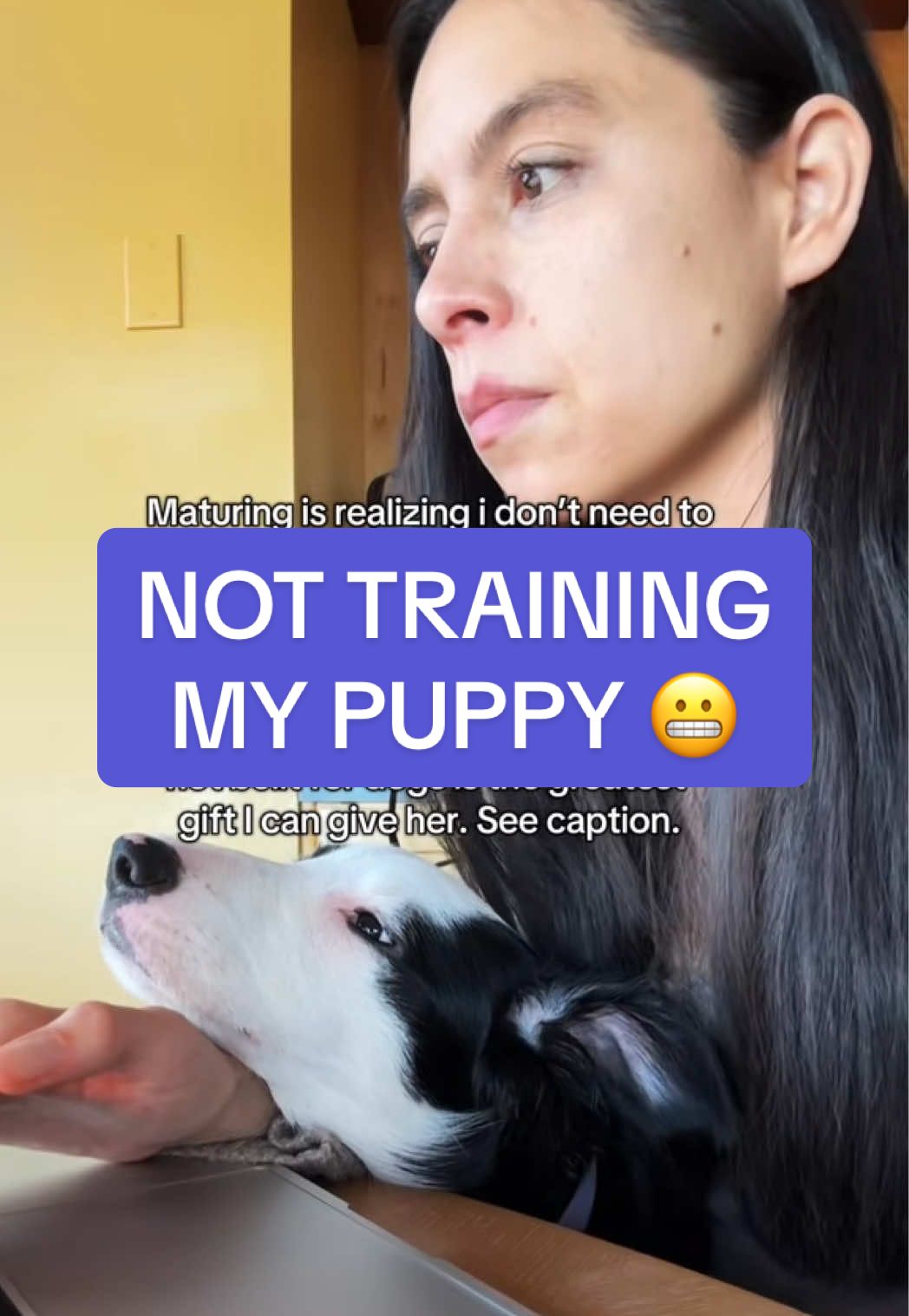 NOT training my puppy?!👇 When i raised my other rescue, Bentley, i focused on teaching loose leash, sit, stay, down and every other “obedience cue” out there 👇  He was “obedient” but struggled in his early years with separation anxiety because i didnt focus on building his ***confidence*** He’s almost 16 now and ive learned so much since he was a puppy… Of course I AM working on basic obedience cues with my newer puppy, Aura, but my PRIORITY & focus is helping her feel safe & confident in a world not built for dogs *through proper socialization & desensitization* Why? Because ✨RELATIONSHIP✨ Strong relationship = better training outcomes When i advocate for my pup, & find ways to build her confidence & trust in me to help keep her safe, our relationship grows 🌳  Everywhere you look are “lists of things your puppy should know by age XYZ” and im learning (after years of interacting with thousands of you & professional trainers) that those can be misleading Does your puppy know what to do when theyre worried? How does your puppy recover after a scary event? Is your puppy easily over stimulated? Are you struggling with gnarly land shark issues?  These are the questions i prioritze And to be clear - im not saying i DONT train obedience cues like loosh leash or recall - I absolutely do, but the *first* thing i focus on is confidence which has made teaching all the “other stuff” MUCH easier because we have a stronger relationship  And sure, doing all the things is “ideal” but not everyone has the luxury of time - so if I had to pick ONE thing to focus on today, it would be helping Aura learn what to do when she’s worried so she can stand on her own 4 feet 💜 Let me know if you want me to share more of what this training looks like 🐾  #DogTraining #puppytraining #newpuppy #puppycheck 