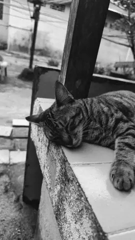 #lyrics #hanyarindu #andmesh #liriklagu #music 