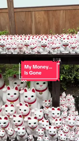 I’m so happy and so sad at the same time. Japan was AMAZING!  Went to Tokyo, Osaka, Kyoto and Nara. Saw the shrines, ate incredible food, drank too many Lemon Sours and shopped our butts off we had to buy more suitcases!  ✈️ Back to saving for the next flight!  #japantravel #japantiktok #japantrip #japanlife #japanitinerary 