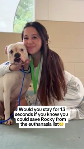 Every order saves them 🙏❤️