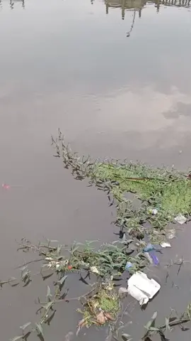 kasih kata kata mu lur #semarangstory #semarangutara #semarangutara24jam #utarakeras #semarang24jam 