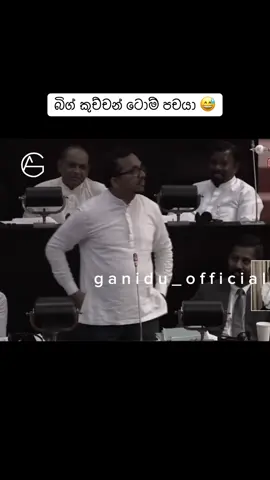 ගෝඨාභය 🫡🦁  #mahindarajapakshe #namalrajapaksa #sltiktok 