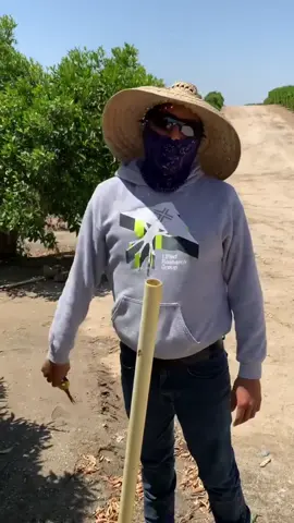 La vida del campo #fypシ#viral#fypシ゚viral#viralvideo#fyp