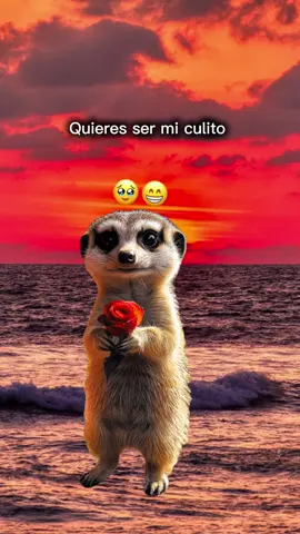 #Meme #MemeCut #paratiiiiiiiiiiiiiiiiiiiiiiiiiiiiiii 