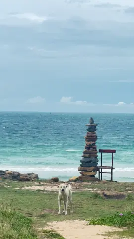 Tôi yêu sự thân thiện nơi đây #ConDao  Còn bạn thì sao?#dulichcondao #cônđảo 