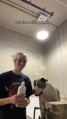 Don’t mind the bag on my head I was multitasking, single dog mom tingz💁🏻‍♀️