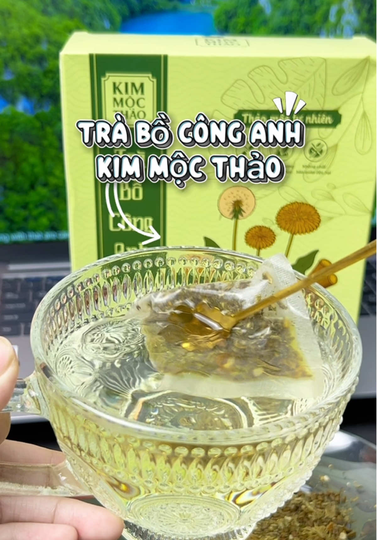 Trà bồ công anh Kim Mộc Thảo #traboconganh #kimmocthao #chanhchanhriziu #xhtiktok #xh 