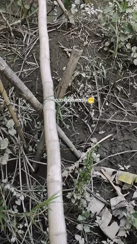 #တာဇံကားကြည့်ပီးမှလာခဲ့#ရောက်ချင်ရာရောက်ကွာ😀😀😍 