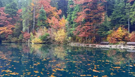 #nature #peace #viwes #naturevibes #141 