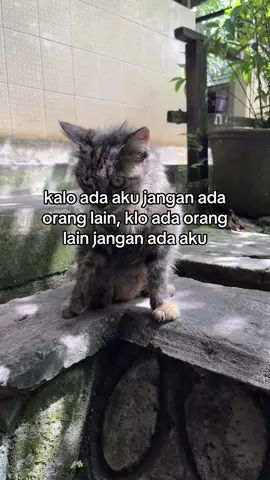 #quotestory #galaubrutal #fypシ゚viral🖤tiktok #harisnugraha #masukberandafyp 