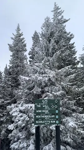 it’s official! we’re back in business! Where are y’all skiing first? #colorado #ski #skitok #mountain #fyp 