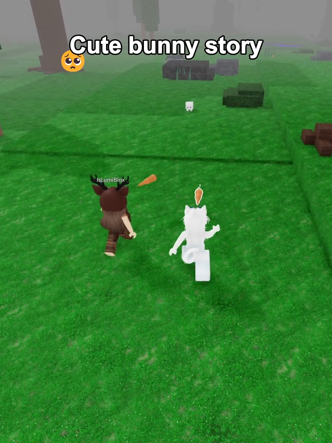 Cute bunny story 🥺 #99nightintheforest #roblox #usa