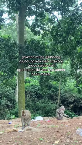 jan wong wong ki unik