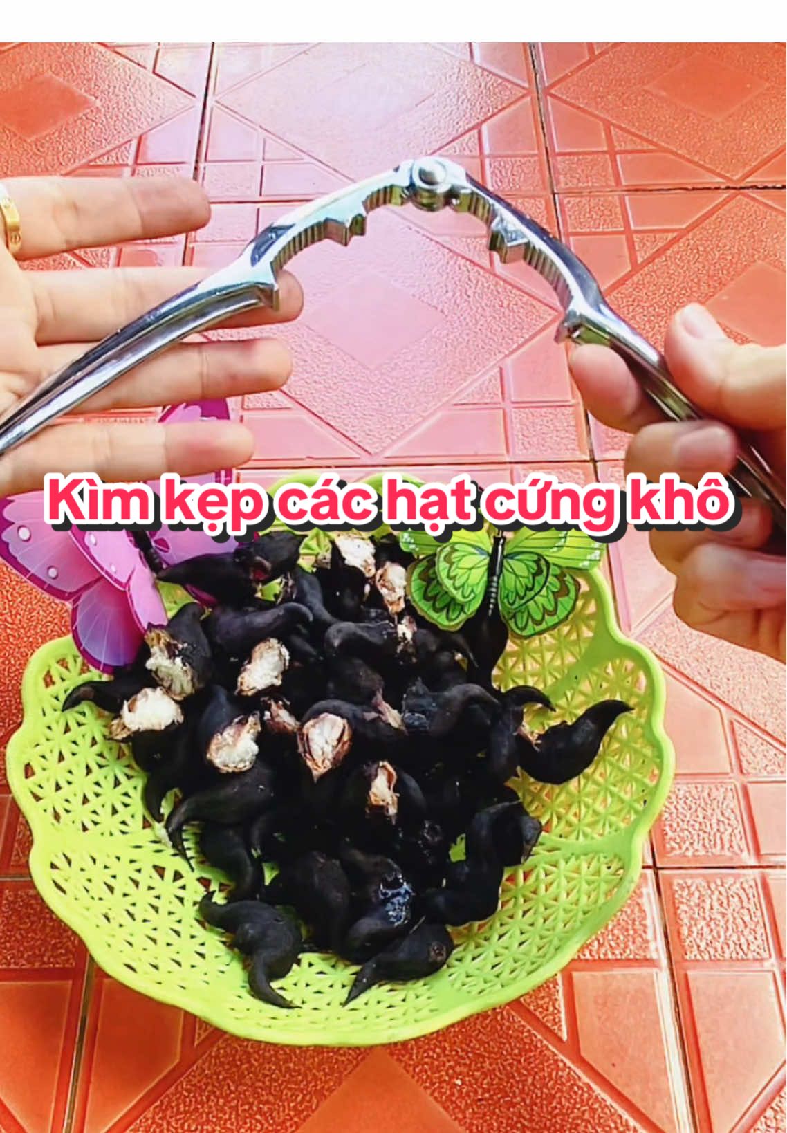 Dụng cụ kẹp để tách các hạt cứng khô và hải sản tiện lợi nha. #dungcukepcangcua #kimkepcangcua #dungcutachhat #giadungnhabep #gocnhotrainghiem296  @Góc nhỏ trải nghiệm 296  @Góc nhỏ trải nghiệm 296  @Góc nhỏ trải nghiệm 296 