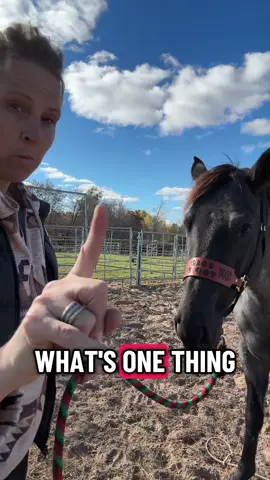 I was always paranoid about this and it was definitely drilled into my boys to never loops their lead rope or reins. Especially when my boys really little led ponies everywhere #horses #horsetraining #fyp #horseriding #fypシ 