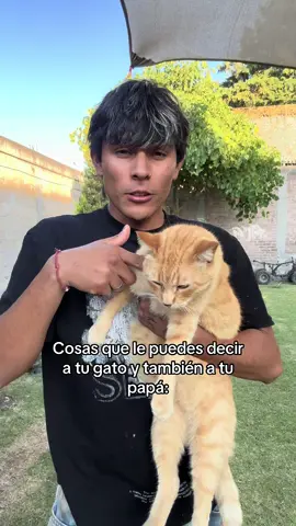 Como así? 🤨 #humor #random #esquizofrenia #gatos #fyp 