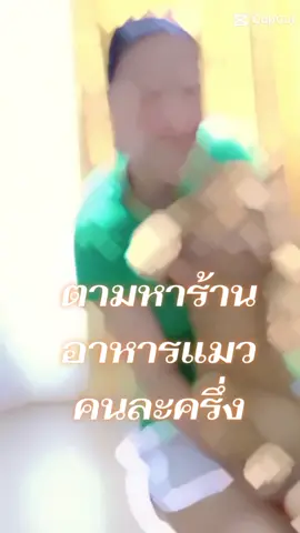 #วันนี้ในอดีต #52แล้วใช้ชีวิตให้มีความสุขในทุกวัน #ป้าโสดตอนแก่ #สวนสัตว์tiktokทาสแมวน่ารัก 