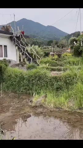 Dulu sklh sekarang SKCK yang korupsi kok dapat SKCK dari mana ya#fyppppppppppppppppppppppp #birokrasi #politik #DPR #ceritaabunawas 