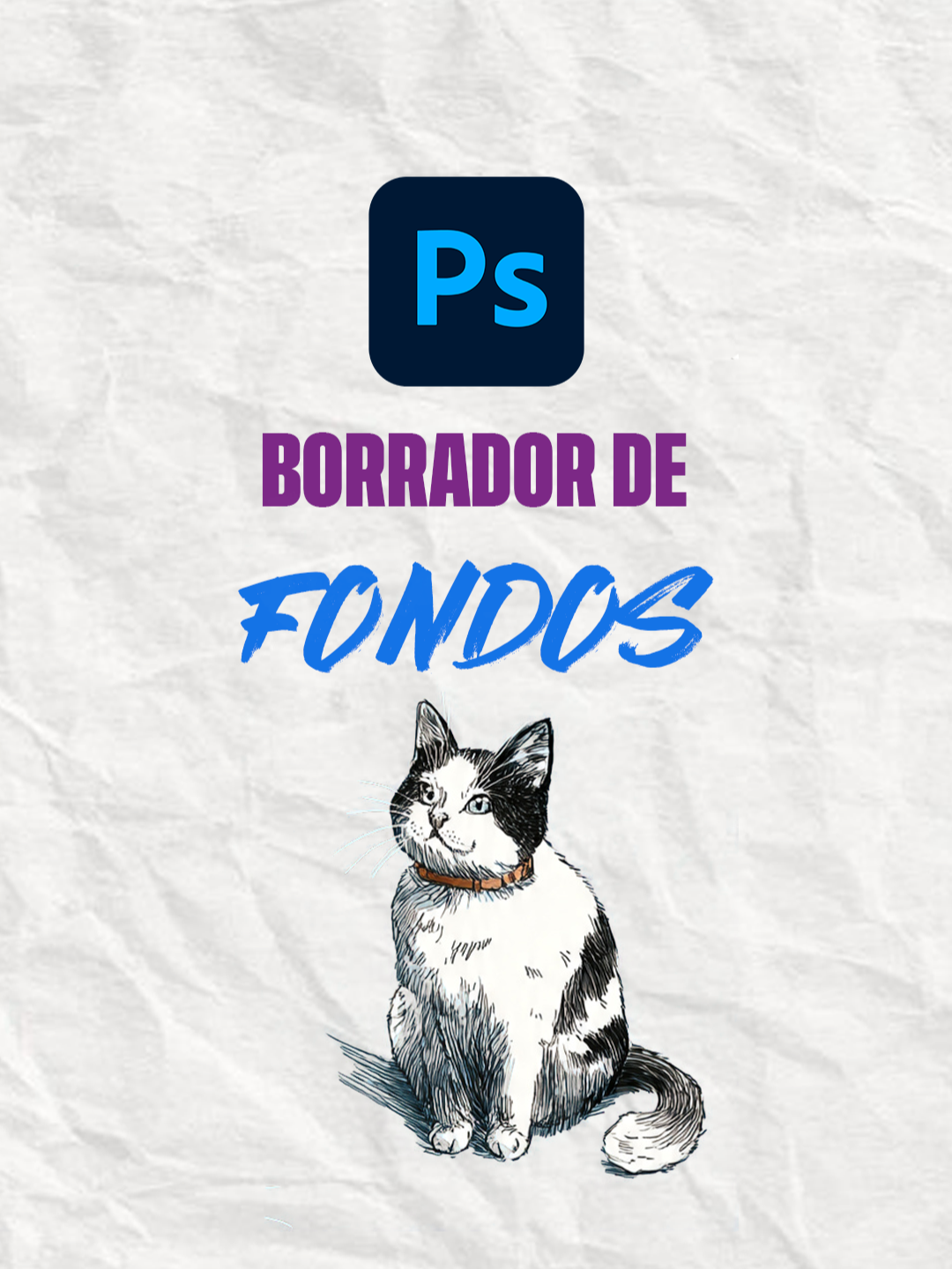Photoshop herramienta borrador de fondos #photoshop #photoshoptutorial #diseñografico